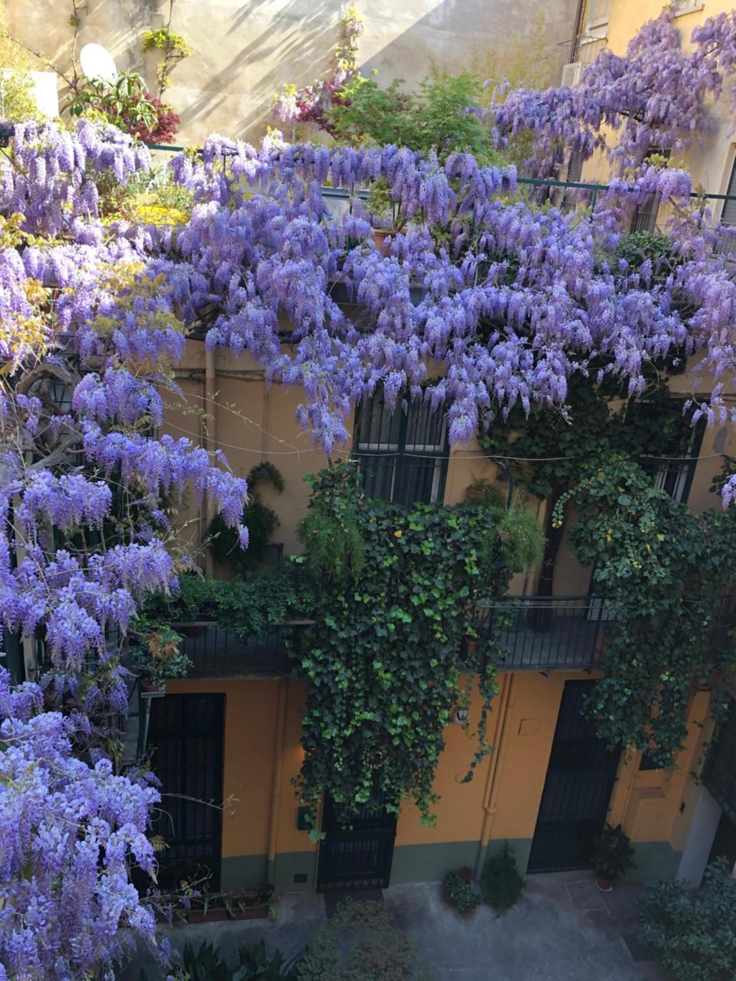 Appartamento La Casa Degli Angeli Torino Esterno foto