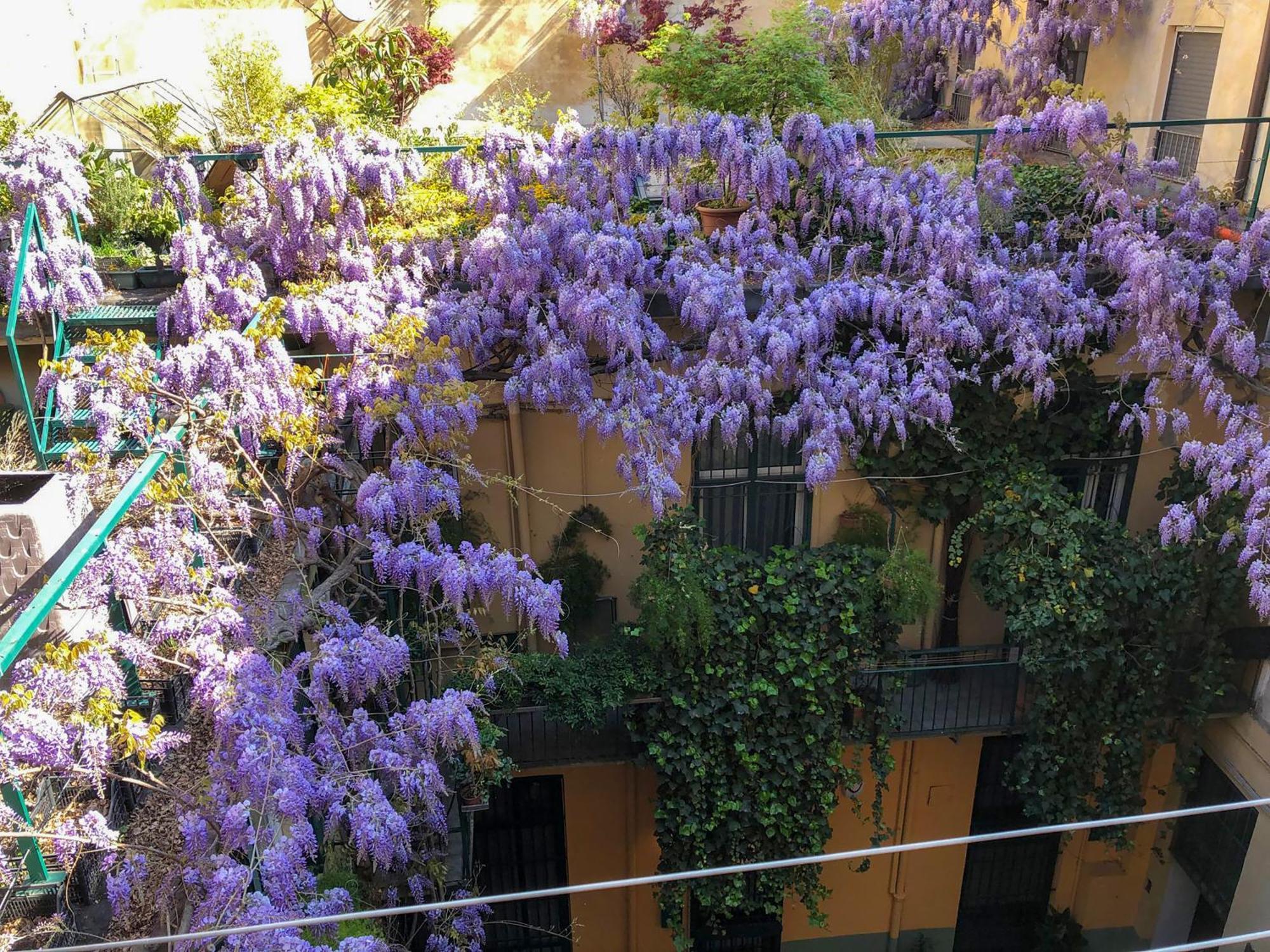 Appartamento La Casa Degli Angeli Torino Esterno foto